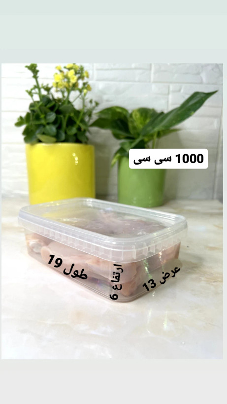 ظرف فریزری 1000 سی سی پولاد